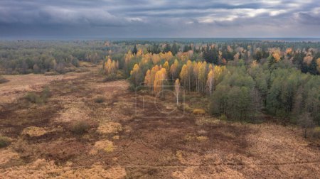 Foto de Prados parcialmente abandonados junto al río y el bosque otoñal cielo nublado, Bosque de Bialowieza, Polonia, Europa - Imagen libre de derechos
