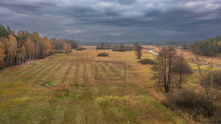 Foto de Prados parcialmente abandonados junto al río y el bosque otoñal cielo nublado, Bosque de Bialowieza, Polonia, Europa - Imagen libre de derechos