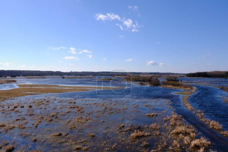 Téléchargez les photos : Vallée inondée de la rivière Narew au printemps sous le ciel bleu, Voïvodie de Podlaskie, Pologne, Europe - en image libre de droit