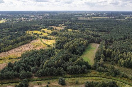 Aerial drone view from Czarny Las village, Piaseczno County near Gora Kalwaria city, Poland