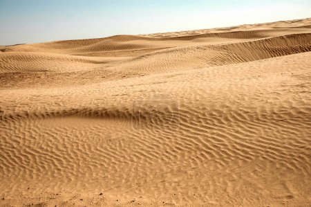 Bord du désert du Sahara dans l'oasis de Douz dans le gouvernorat de Kebili, Tunisie