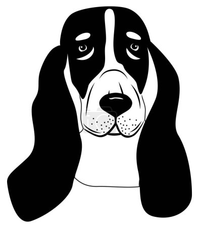 Illustration for Basset Hound Dog Breed Love Peeking Pet Puppy Design Element tattoo vector Isolated Head Face - Royalty Free Image