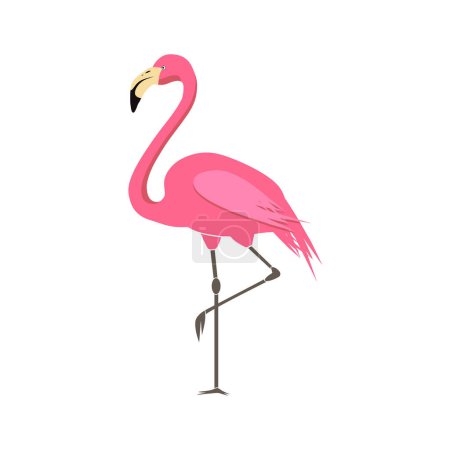 Ilustración de Ilustración vectorial de flamenco rosa aislada sobre fondo blanco. - Imagen libre de derechos