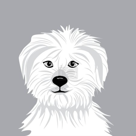Ilustración de Blanco bichon frise vector perro en un fondo de color - Imagen libre de derechos