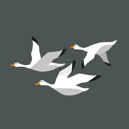 Troupeau de grues en vol. Illustration vectorielle plate de la migration des oiseaux isolés sur fond bleu.