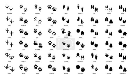 Tier- und Vogelspuren mit Namen in schwarzer Farbe. Vektorillustration