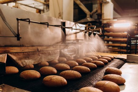 Téléchargez les photos : Le four de la boulangerie. Le pain frais chaud sort du four industriel dans une boulangerie. Ligne de production automatique de pain - en image libre de droit