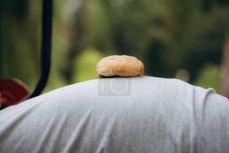 Foto de Una hamburguesa descansa sobre el estómago de un hombre gordo - Imagen libre de derechos