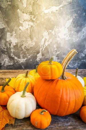 Photo for Halloween or thansgiving concept, pile of orange and white pumpkins on table with copy space - Royalty Free Image