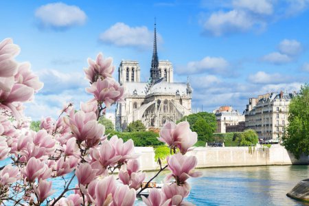 Notre Dame cathedral church over the Seine river at spring day with magnolia flowers, Paris, France