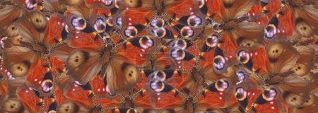 Téléchargez les photos : Paon européen naturel papillon texturé fond - en image libre de droit