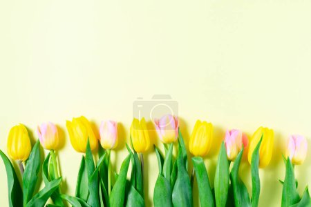 Foto de Pascua amarillo y rosa tulipán flores borde ramo, vista superior sobre fondo amarillo - Imagen libre de derechos