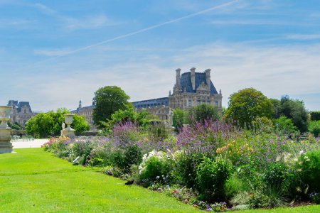 Foto de Vacaciones de verano en París. Tuileries gardens in front of Louvre palace, Paris Francia
. - Imagen libre de derechos