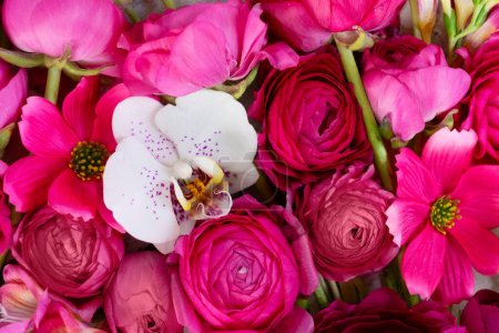 Foto de Composición de flores. Fondo natural floral hecho de flores de rununculus y orquídeas de color magenta. - Imagen libre de derechos