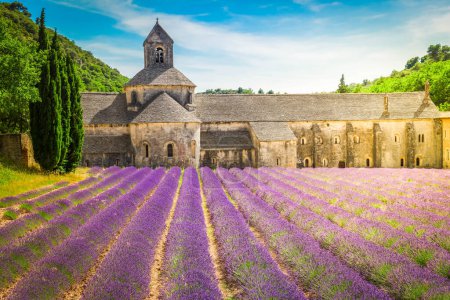 Foto de Abbey Senanque building and blooming Lavender field, Francia - Imagen libre de derechos