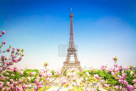 Photo for Eiffel Tower and Paris cityscape in spring sunny day with tree flowers, France - Royalty Free Image