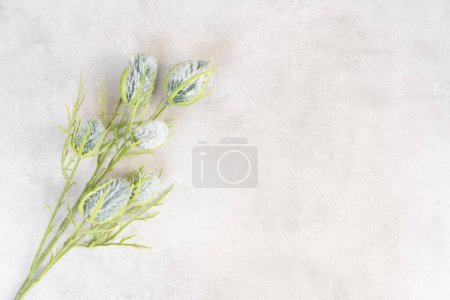 Photo for Christmas silver and teal evergreen tree and winter flowers decorations over gray background - Royalty Free Image