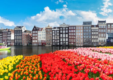Foto de Casas antiguas holandesas típicas sobre el canal con tulipanes, Amsterdam, Países Bajos - Imagen libre de derechos