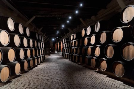Photo for Wine cellar, row of wooden barrels - Royalty Free Image