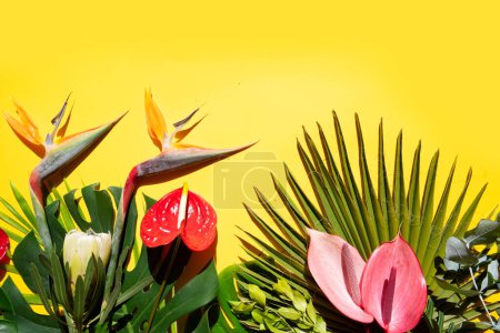 tropical leaves greenery with green leaves, strelizia and red anthurium flowers over bright yellow background
