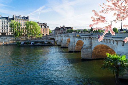 puente Pont Neuf y el río Sena con casas antiguas de la isla de Cite, calles de París, Francia
