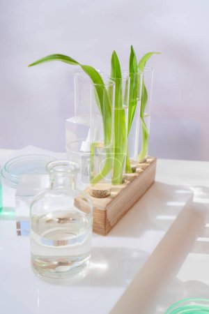 Naturwissenschaftliches Konzept, grünes Labor mit Reagenzgläsern