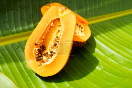 Summer tropical fruits of papaya over fresh green leaf