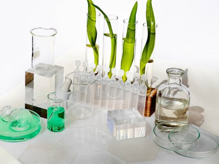 Naturwissenschaftliches Konzept, grünes Labor mit Reagenzgläsern
