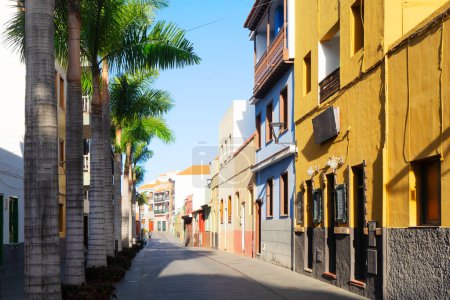 Gemütliche Straße mit Palmen in Puerto de la Cruz, Teneriffa Spanien