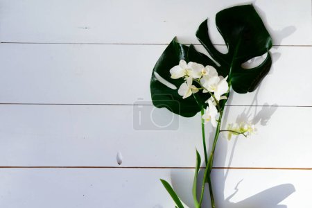 Summer flat lay scenery with tropical leaves and orchids on white background with copy space