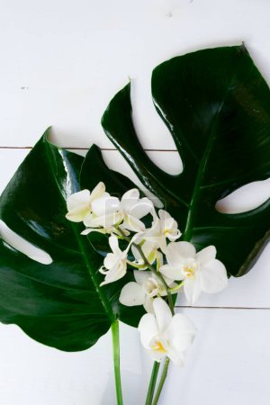 Summer flat lay scenery with tropical leaves on white background