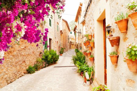 Téléchargez les photos : Rue dans la vieille ville de Valdemossa avec pots de fleurs traditionnels, Majorque, Espagne, Îles Beléares - en image libre de droit