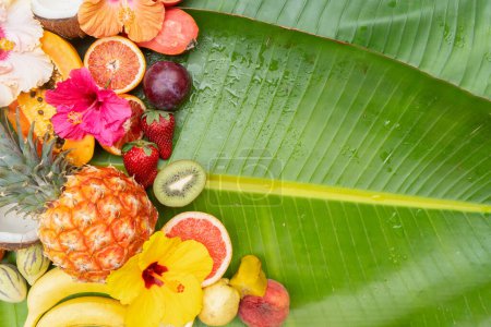 Photo for Summer mix of tropical fruits over green leaf with copy space - Royalty Free Image