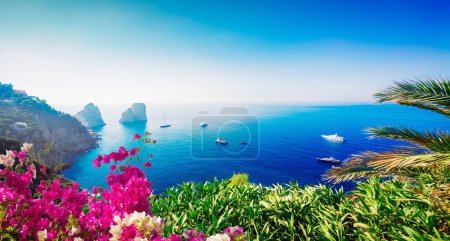Famous Faraglioni cliffs and Tyrrhenian Sea clear blue water, Capri island, Italy with flowers, web banner format