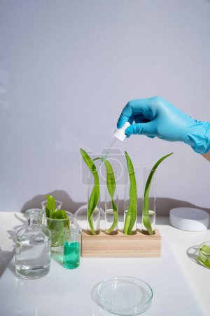 Naturwissenschaftliches Konzept, grünes Labor mit Forscher, der Reagenzgläser inspiziert