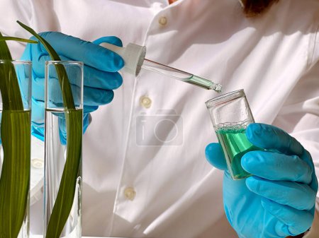 Naturwissenschaftliches Konzept, grünes Labor mit Forscher, der Reagenzgläser inspiziert