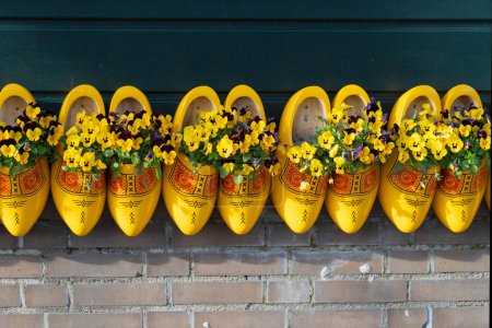 Traditional dutch shoes clogs with fresh flowers close up