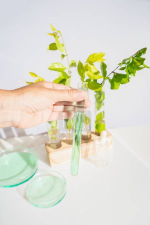 Science and nature concept, green laboratory with researcher inspecting test tubes