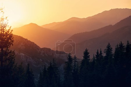 Photo for Beautiful glowing sunrise scenery of the mountains summit with forest spruce in Almaty, Kazakhstan. Outdoor and hiking concept - Royalty Free Image