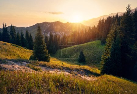 Photo for Beautiful glowing sunrise with glow sun scenery of the mountains summit with forest spruce in Almaty, Kazakhstan. Outdoor and hiking concept - Royalty Free Image