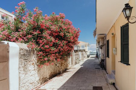 Eine malerische mediterrane Allee mit leuchtend roten Blumen und traditionellen Häusern mit grünen Fensterläden, die die Essenz eines ruhigen Sommertages einfangen.