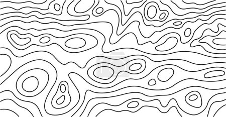 Téléchargez les illustrations : Carte topographique vectorielle abstraite avec des isolines sur fond blanc - en licence libre de droit