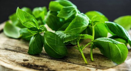 Photo for Fresh green basil leaves on a wooden board, close up view - Royalty Free Image
