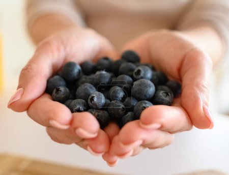 Foto de Girl holding blueberry in hands, Handful of berries - Imagen libre de derechos