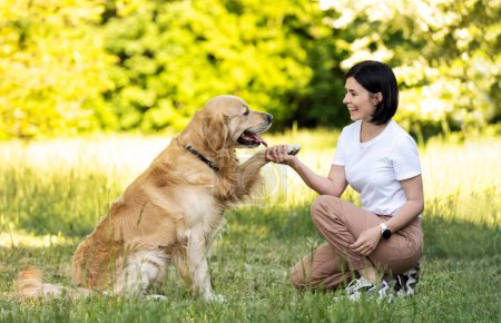 Téléchargez les photos : Girl training golden retriever dog outdoors - en image libre de droit
