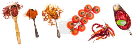 Foto de Conjunto de especias en cucharas retro, salsa y tomates aislados sobre fondo blanco - Imagen libre de derechos