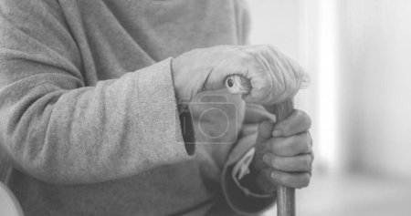Photo for Hands of old woman holding cane in room, black and white - Royalty Free Image