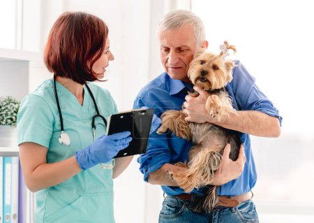 Foto de Doctor dando recetas a yorkshire terrier perro propietario en clínica veterinaria - Imagen libre de derechos