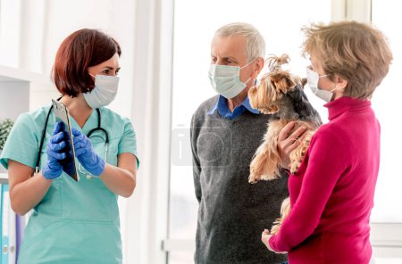 Foto de Veterinario dando recomendaciones a los propietarios de perros terrier yorkshire en la clínica - Imagen libre de derechos