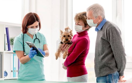 Foto de Veterinario explicar yorkshire terrier diagnóstico a un par de propietarios en máscaras protectoras durante la cita en la clínica veterinaria - Imagen libre de derechos